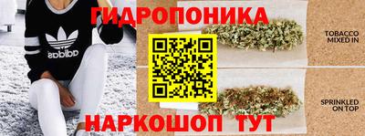 экстази Новокубанск