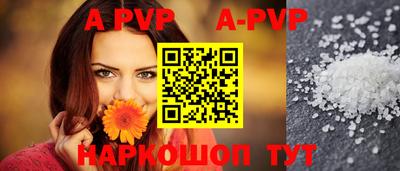 ECSTASY Новозыбков