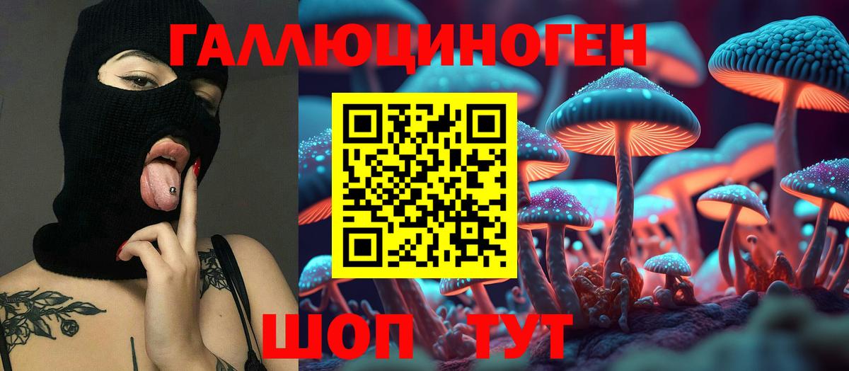 Псилоцибиновые грибы прущие грибы Сухой Лог
