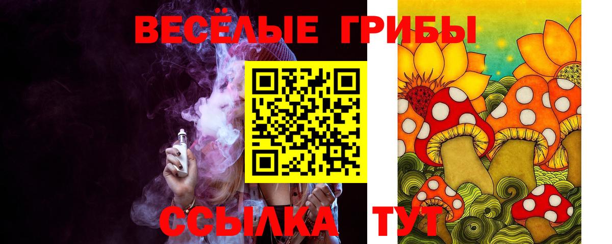 Сухой Лог  Псилоцибиновые грибы ЛСД  Вход с VPN 